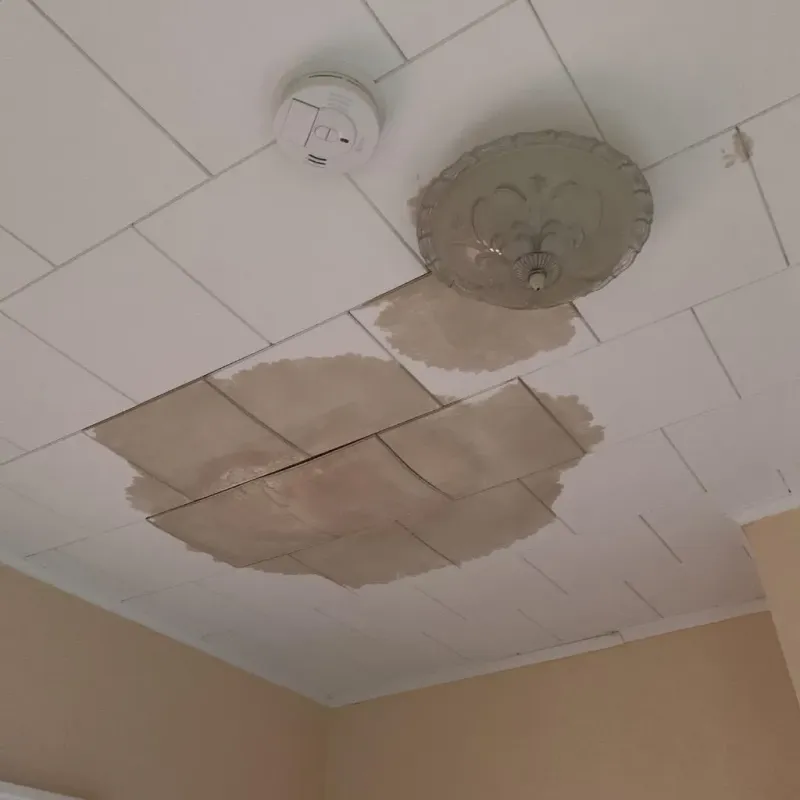 Ceiling Water Damage Repair in Bedminster, NJ