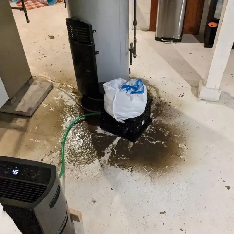 Sewage Backup Cleanup Service in Bedminster, NJ